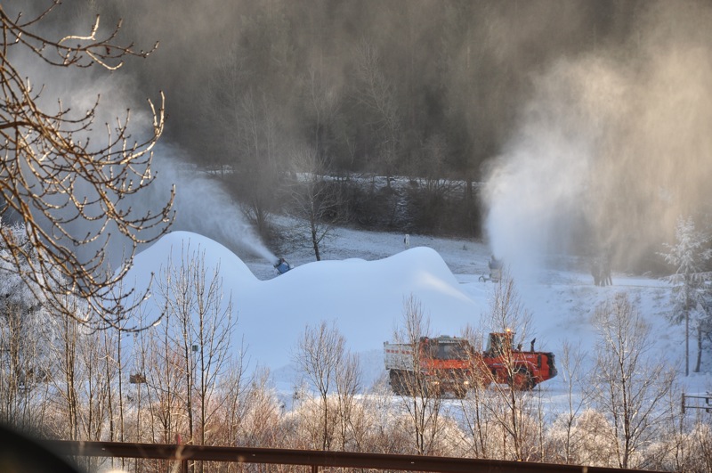 DSC_4430.JPG DSC 4430