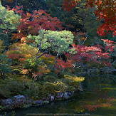 依水園,紅葉(PK3_0701,F10,21mm,K3)2014yaotomi_.jpg