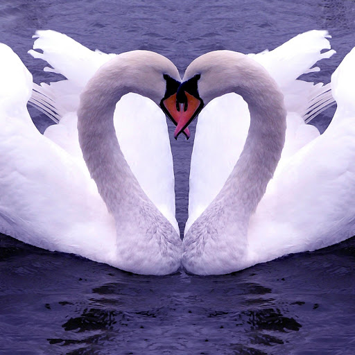 Hd-181248-ascw181248