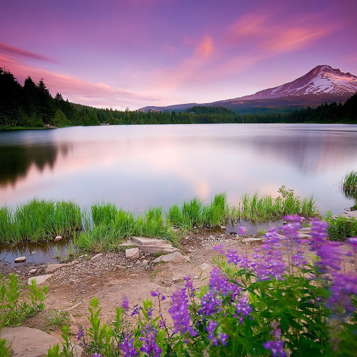 Hd-159230-ascw159230