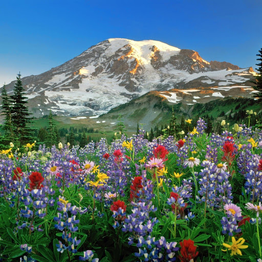 Hd-143077-ascw143077