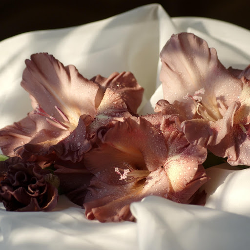 Hd-168317-ascw168317