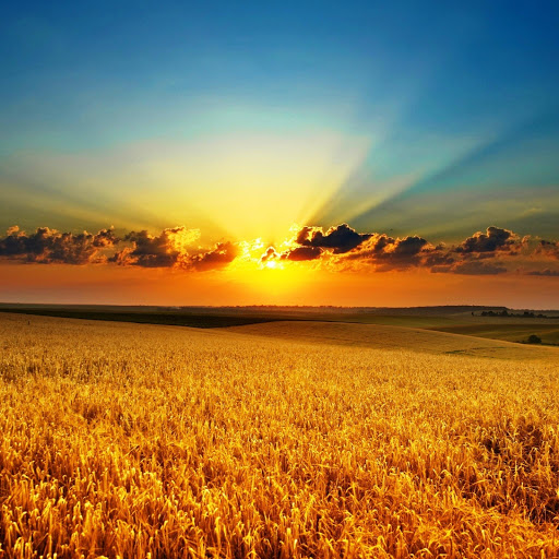 Hd-145950-ascw145950