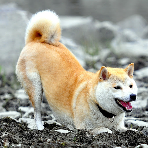 Hd-167702-ascw167702