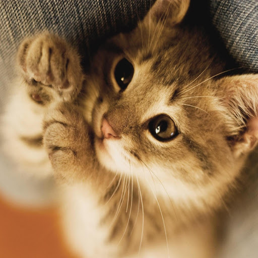 Hd-172092-ascw172092