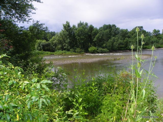 Loire au niveau d&#039;Épercieux-Saint-Paul, aval, rive droite photo #1025