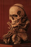 IMG_4763 IMG_4763
