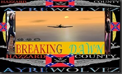 breaking dawn header 1