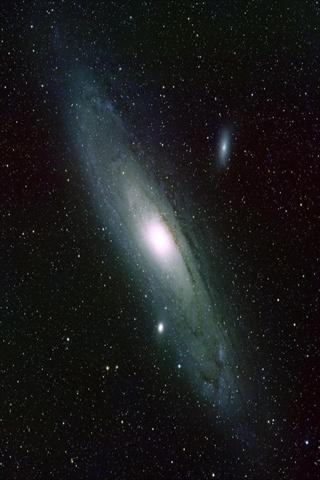 Ascw13943