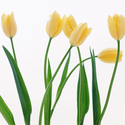 Hd-172569-ascw172569