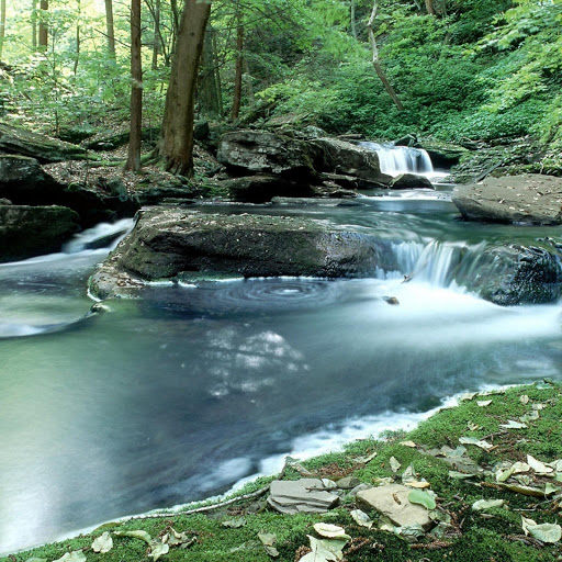 Hd-141202-ascw141202