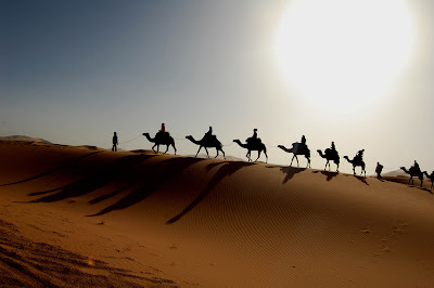 10حقائق مذهلةعنالصحراء الكبرى Sahara-desert