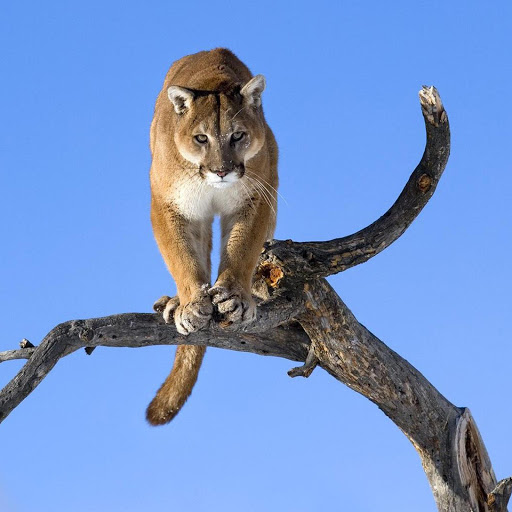 Hd-178180-ascw178180