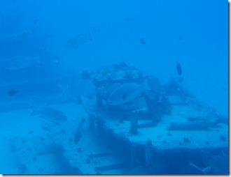 View from the Atlantis Submarine Waikiki