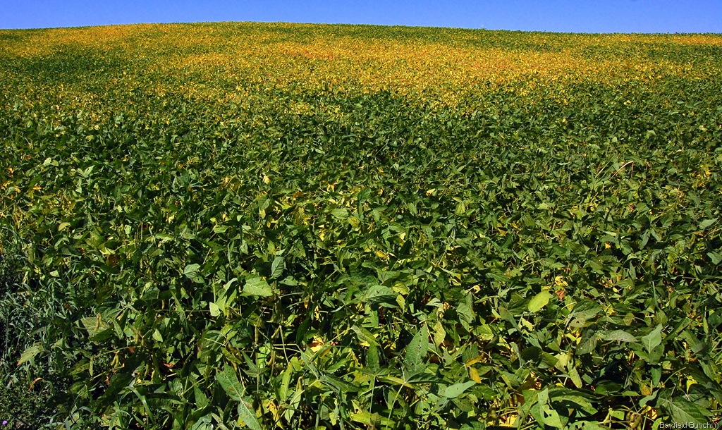 [DSC_8070%255B3%255D.jpg]