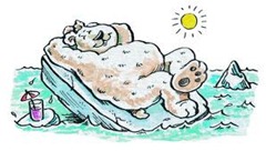 Sunbathing bear