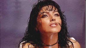 Actress Heera Hot - actress largest navel,cleavage,hip,waist photo collections : malishka saree navel