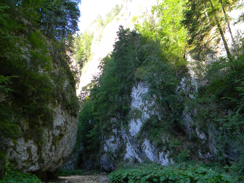 [DSCN54453.jpg]