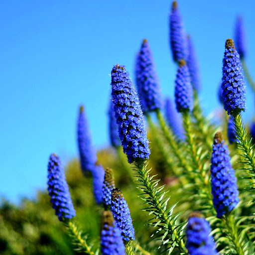 Hd-164271-ascw164271