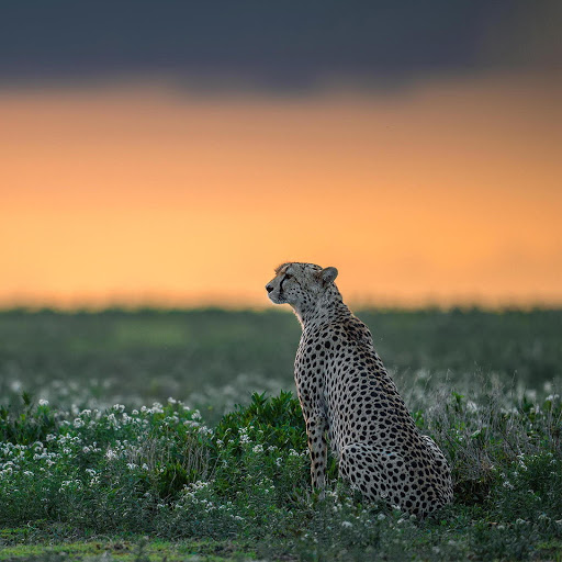 Hd-137498-ascw137498