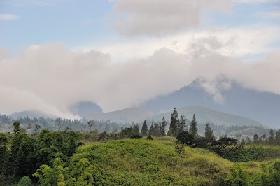 DSC_0740.JPG