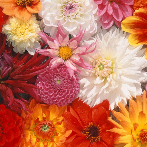 Hd-144350-ascw144350