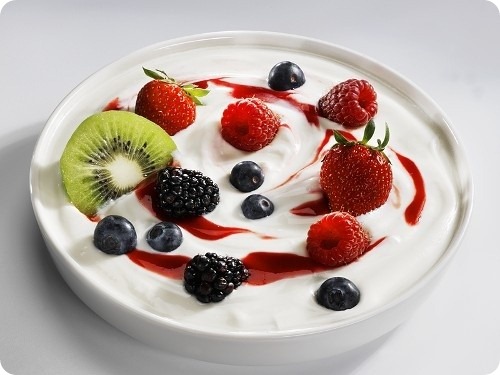 Yogurt Yogurt
