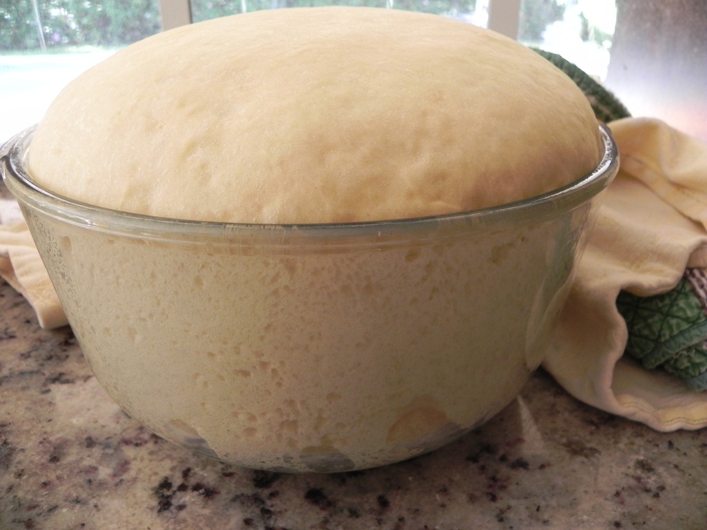 [DSCN1010%255B4%255D.jpg]