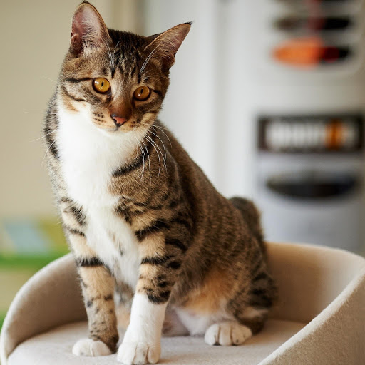 Hd-176156-ascw176156