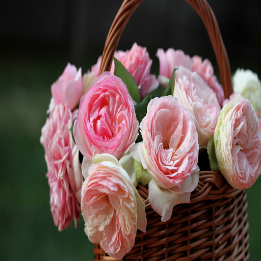 Hd-132485-ascw132485