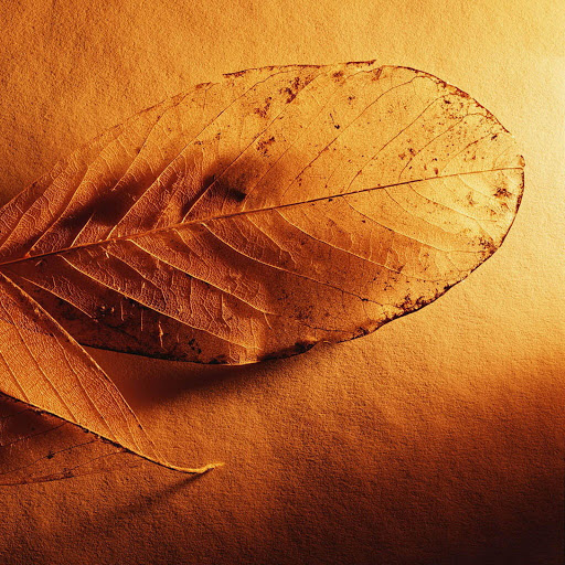 Hd-143247-ascw143247