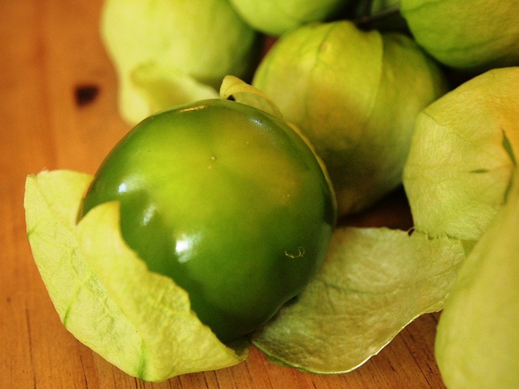 [Tomatillo-Toma-Verde13.jpg]