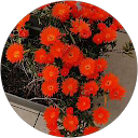 Image Google de francine navarro