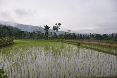 DSC_0221.JPG