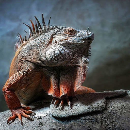 Hd-139158-ascw139158