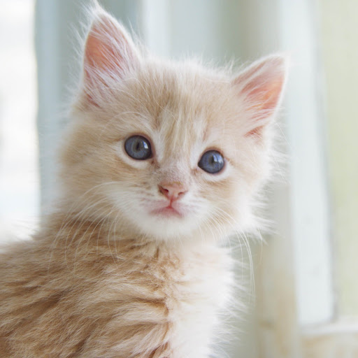 Hd-152829-ascw152829