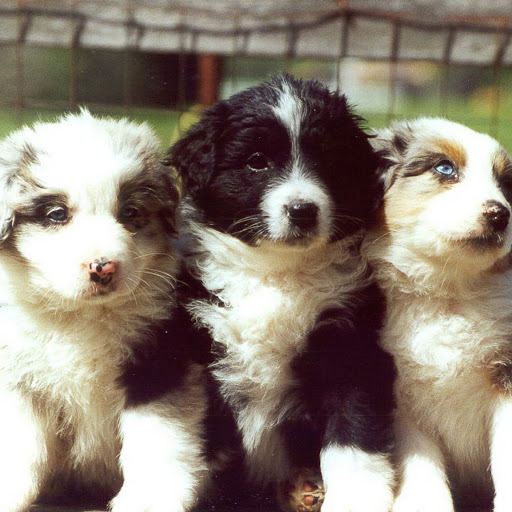 Hd-138054-ascw138054