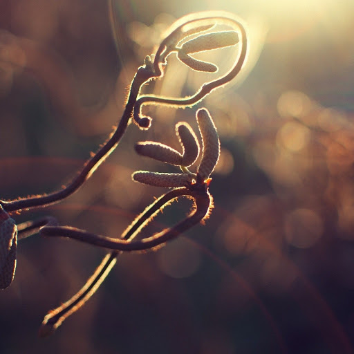 Hd-150650-ascw150650