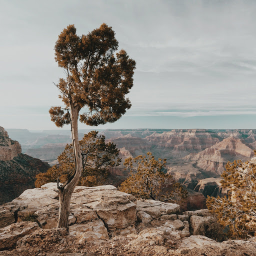 Hd-171885-ascw171885