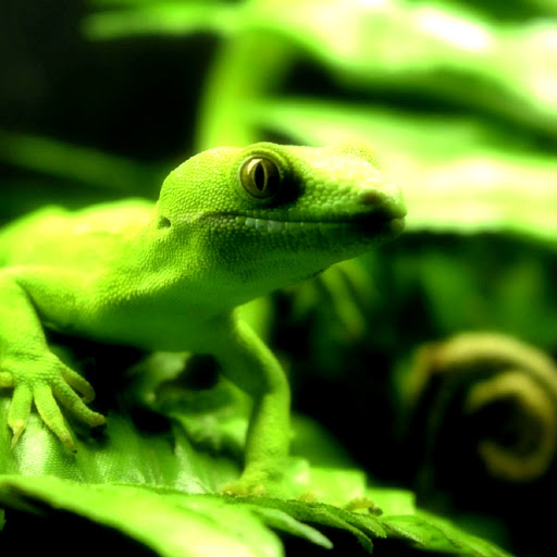 Hd-138037-ascw138037