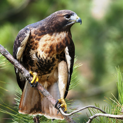 Hd-147513-ascw147513