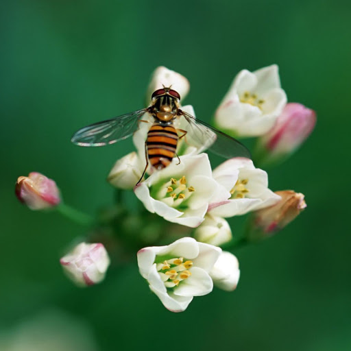 Hd-142466-ascw142466