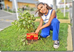Estudantes realizam plantio de mudas na chegada da primavera 