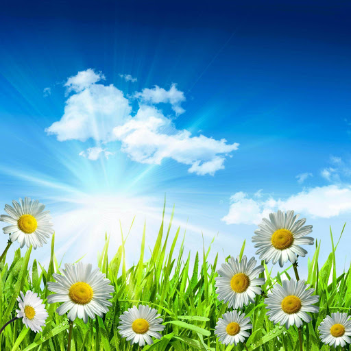 Hd-171742-ascw171742