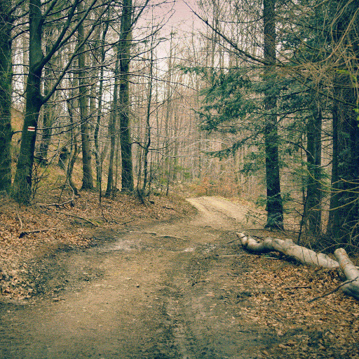 Hd-137343-ascw137343