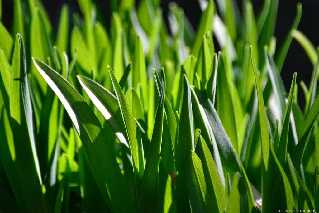 [DSC_0035%255B4%255D.jpg]