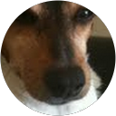 Image Google de Joel Costi