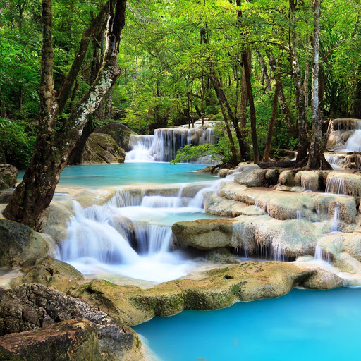 Hd-142215-ascw142215