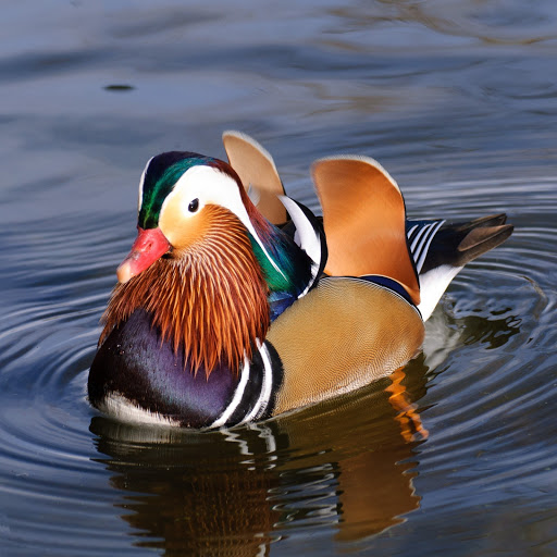 Hd-166663-ascw166663