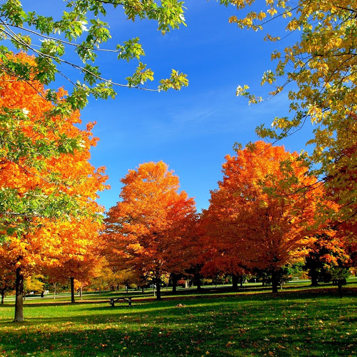 Hd-152649-ascw152649